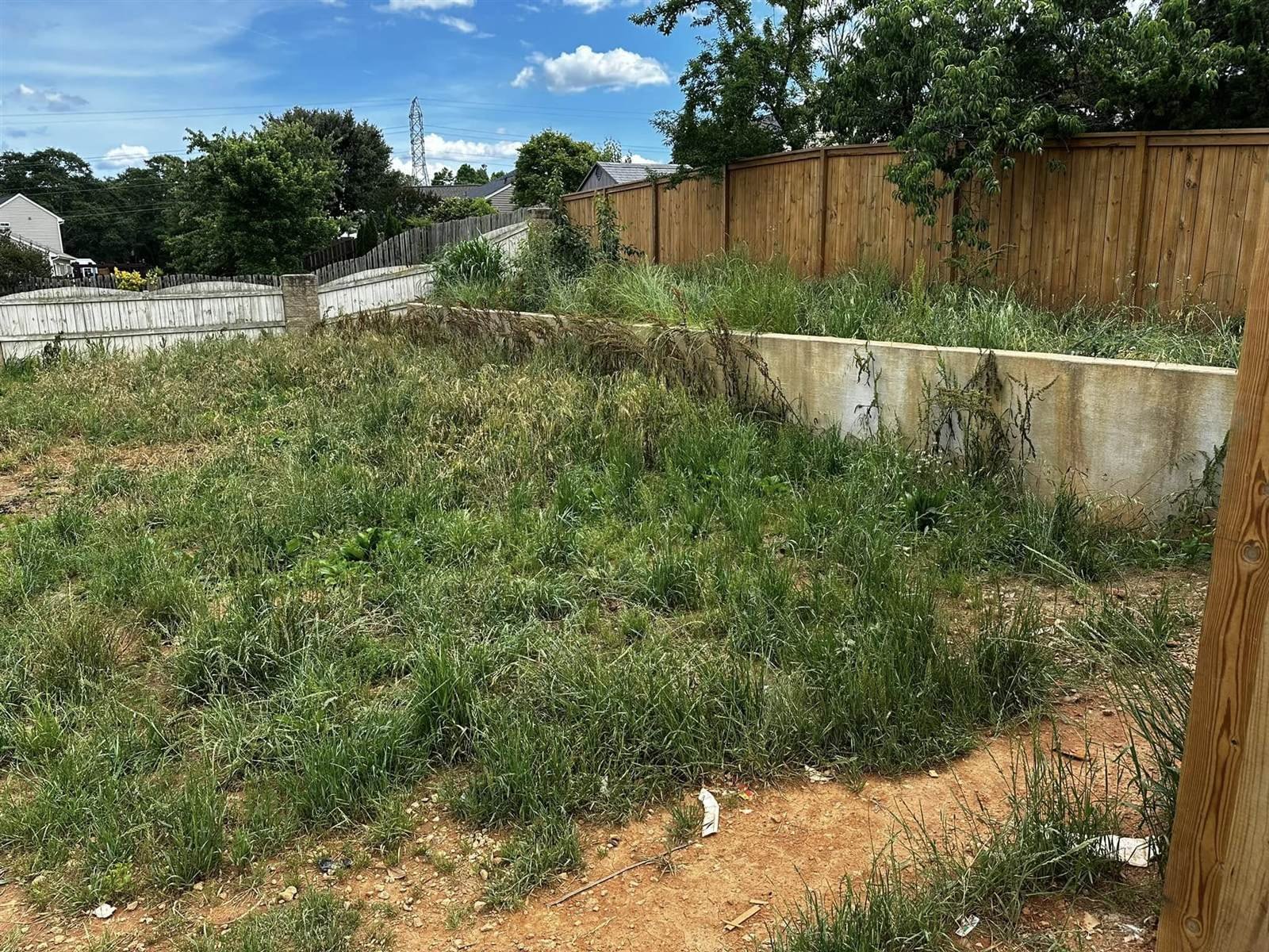 Overgrown backyard lot before Luxury Landscapes renovation