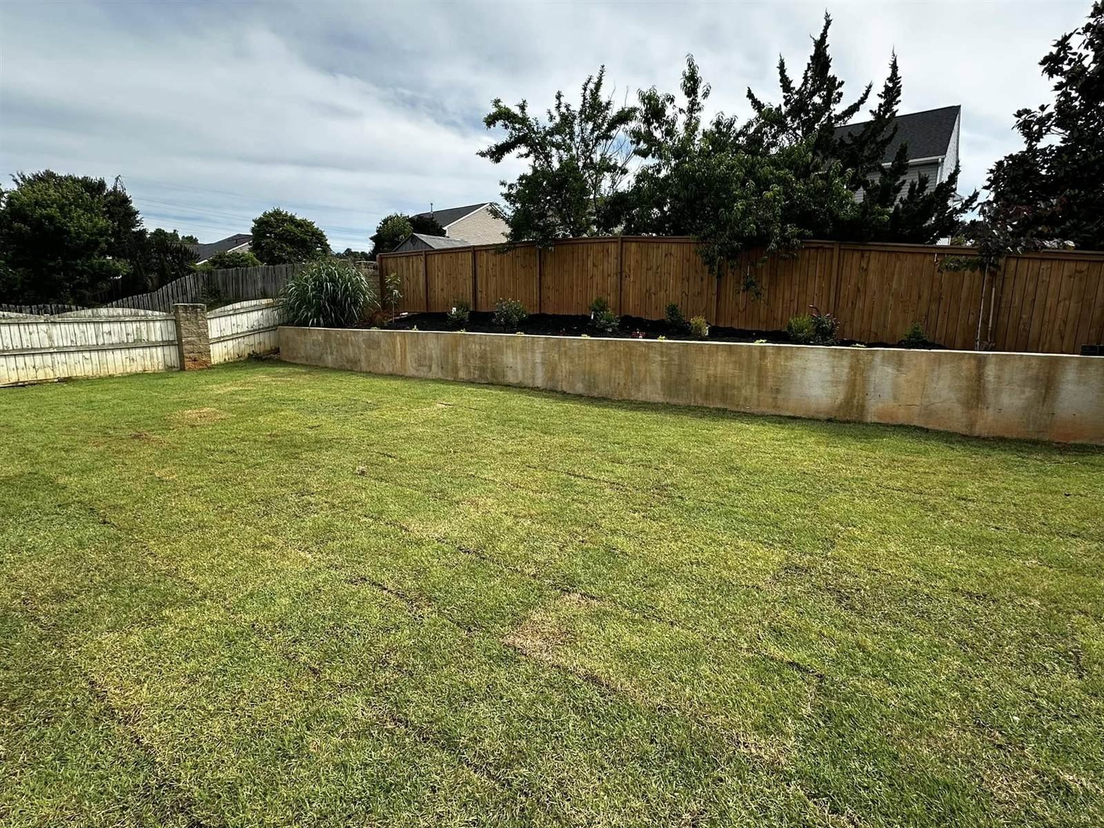 Backyard after Luxury Landscapes installed a retaining wall and full lawn