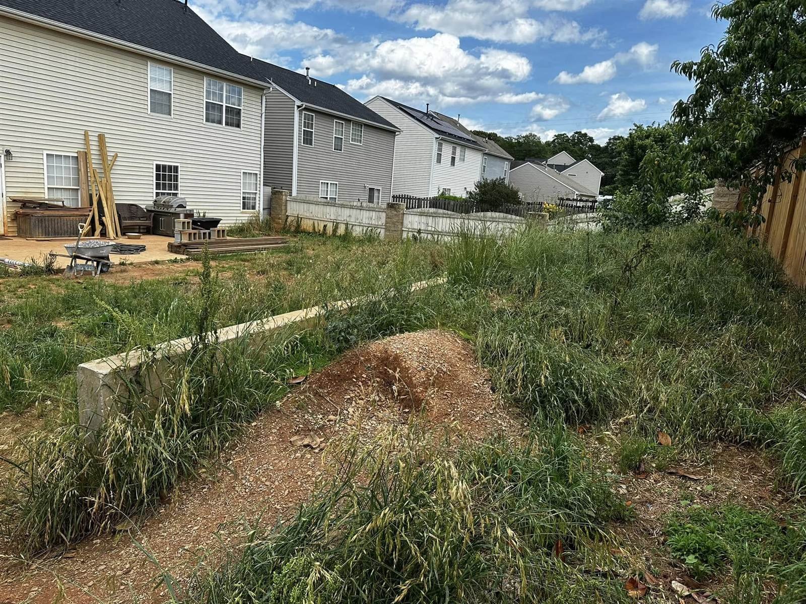 Overgrown, unused backyard lot before Luxury Landscapes renovation